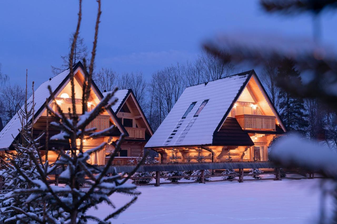 Sniezna Dolina - Sobiczkowa Bor Luxury Chalets Koscielisko Ngoại thất bức ảnh